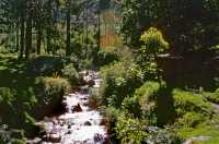 141 De Cuzco au Machu Picchu