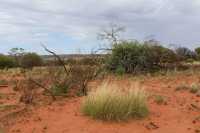 12 Mereenie Loop Road