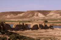 825 Zénobia - Rempart