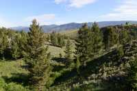 01 Blacktail Plateau