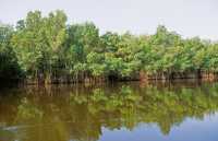 423 Puerto San José - Canal de Chiquimulilla