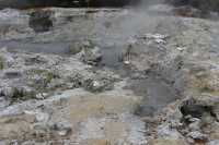 024 The Infants (Plus de 100°) Tikitere