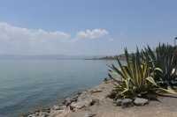 85 Le rivage du lac à Capharnaüm près de la maison de Pierre