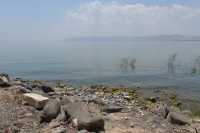 79 Le rivage du lac à Capharnaüm près de la maison de Pierre