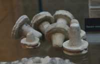 34 Moules de pierre pour tracer des moulures