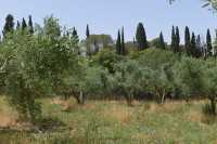 20 Jardin du monastère orthodoxe