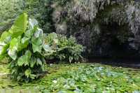 040 Grotte Teanateatea