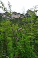 41 Village au nord du Rozier