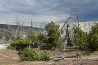 69 White Elephant Back Terrace