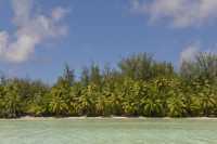 137 Ile coralienne vue du lagon