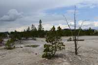 11 Norris Geyser Basin B