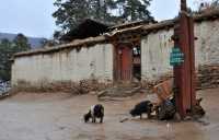 34 Monastère & chèvres