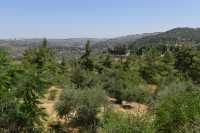 39 Ein-Karim vu du monastère russe