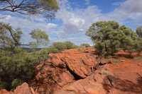 04 Mereenie Loop Road