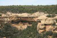 100 Canyon & Cliff P