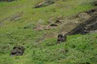 28 Moai dans le cratère du volcan