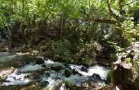 92 La rivière Hermon