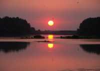 Soir - Soleil & Oiseaux