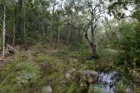 18 Buley Rockhole, Lower Pools B