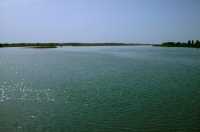 431 Euphrate ouest de Cunaxa