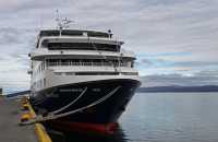 127 Stella australis