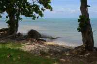 41 Moorea - Côte est