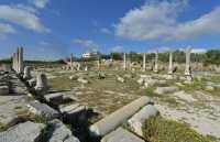 02 Basilique civile de Sébaste, construite par Hérode