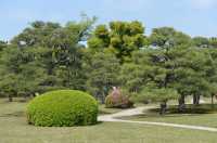 026 Château Nijo-jo (Parc)