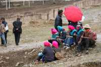 36 Manifestation tibétaine