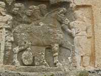72 Shapur II - Le cheval du roi *