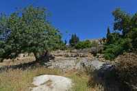 08 Les arbres de Manré