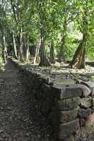 40 Marae Titiroa (Vallée d'Opunohu)