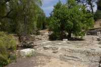 03 Basilique byzantine du nord (5°s) Emmaüs - Amwas-Nicopolis