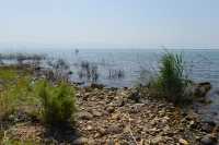 48 Le lac de Tibériade à Tabgha-Dalmanutha