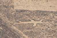 030 Géoglyphes 3