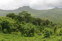 030 Route traversière