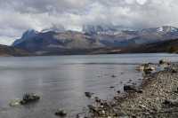 42 Lago azul & Torres del Paine