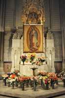 29 Saint Patrick - Guadalupe