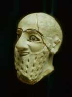 758 Mari, musée Damas