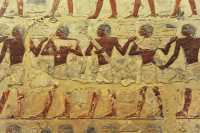 012 Tombe de Perneb (Saqqara 2850±)