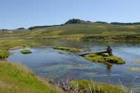 059 Yellowstone River (Nord de Lake Village) B