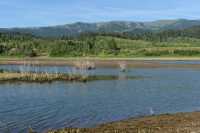 04 Etang près d'Apine (Wyoming)