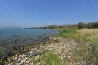 43 Le lac de Tibériade à Tabgha-Dalmanutha