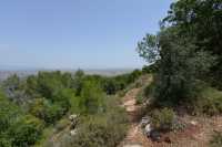 42 Sur les pentes du Mont Thabor