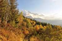 67 Vers Pierre Blanche