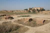 045 Suse - Ville royale *