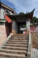 25 Vers le camélia géant