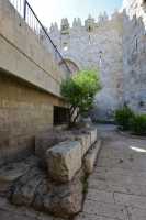 16 Porte de Damas surélevée par rapport au niveau de la porte d'Hérode Agrippa