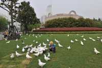 088 L'enfant & les colombes