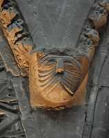 40 Nef (3° travée - Sud) Grosses rides